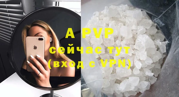 гидра Алексин