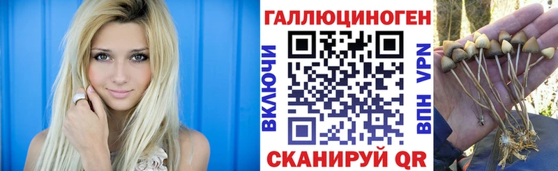 сколько стоит Лермонтов Галлюциногенные грибы Magic Shrooms